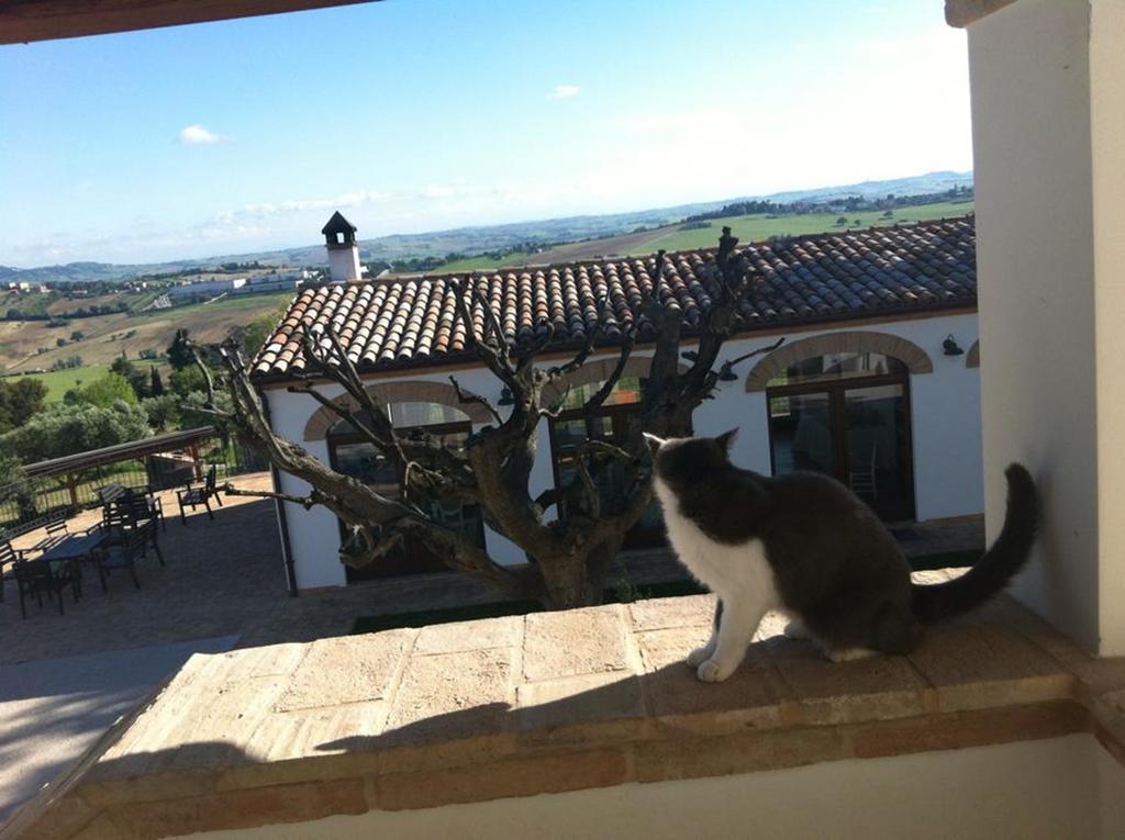 Villa Coralia Agriturismo Озимо Экстерьер фото