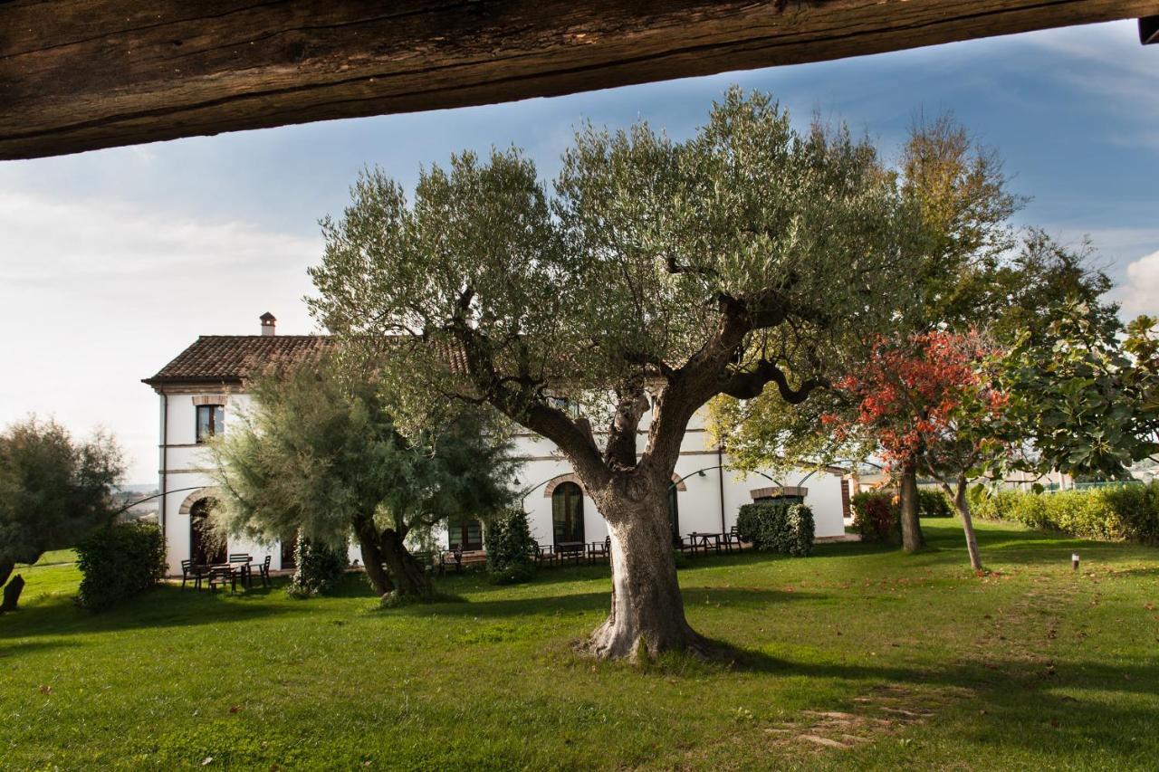 Villa Coralia Agriturismo Озимо Экстерьер фото