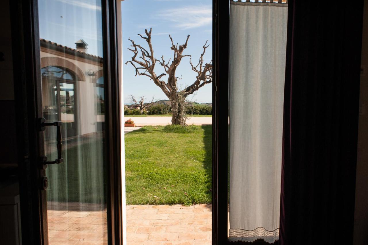 Villa Coralia Agriturismo Озимо Экстерьер фото